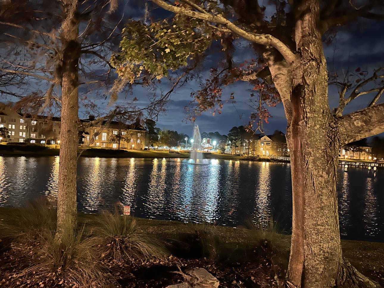 Top DVC Contracts with Low Upfront Costs- January 2024 | Monera Financial